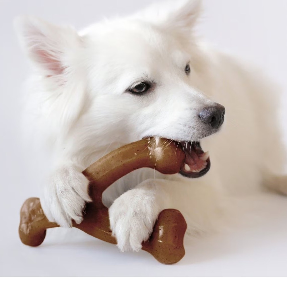 NWT Benebone Bacon Flavor Wishbone Dog Toy Size Medium (under 60 pounds) - Picture 2 of 8